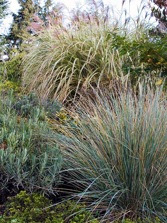 The garden in autumn - Autumn tips and ideas for your landscape