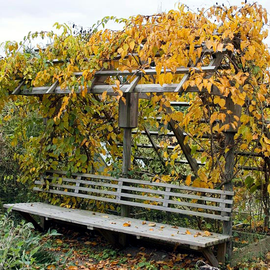 The garden in autumn - Autumn tips and ideas for your landscape