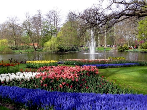 The most beautiful holiday destinations in the spring - Keukenhof Garden