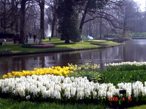 The most beautiful holiday destinations in the spring - Keukenhof Garden