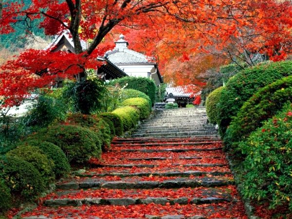 The perfect harmony of Japanese gardens