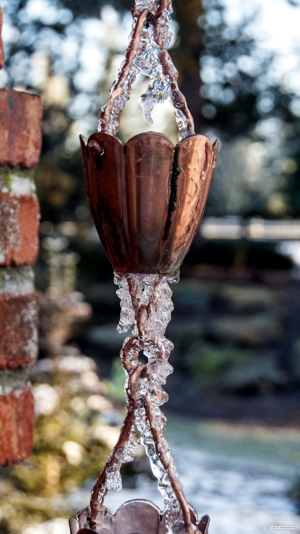 The rain chain downspout instead serves as a creative decoration in the garden