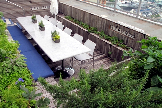 Transformation of a pool in an herb garden on the roof terrace