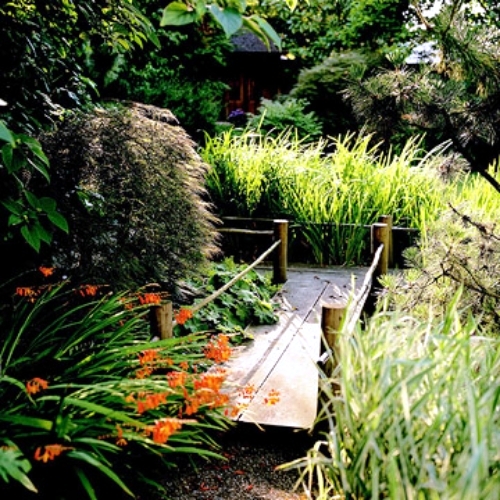 Use the main elements in Japan garden for your own garden