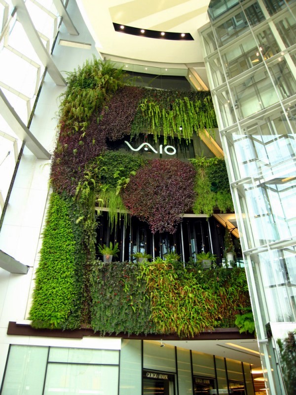 Vertical gardens inside and outside - Big Future for wall greening