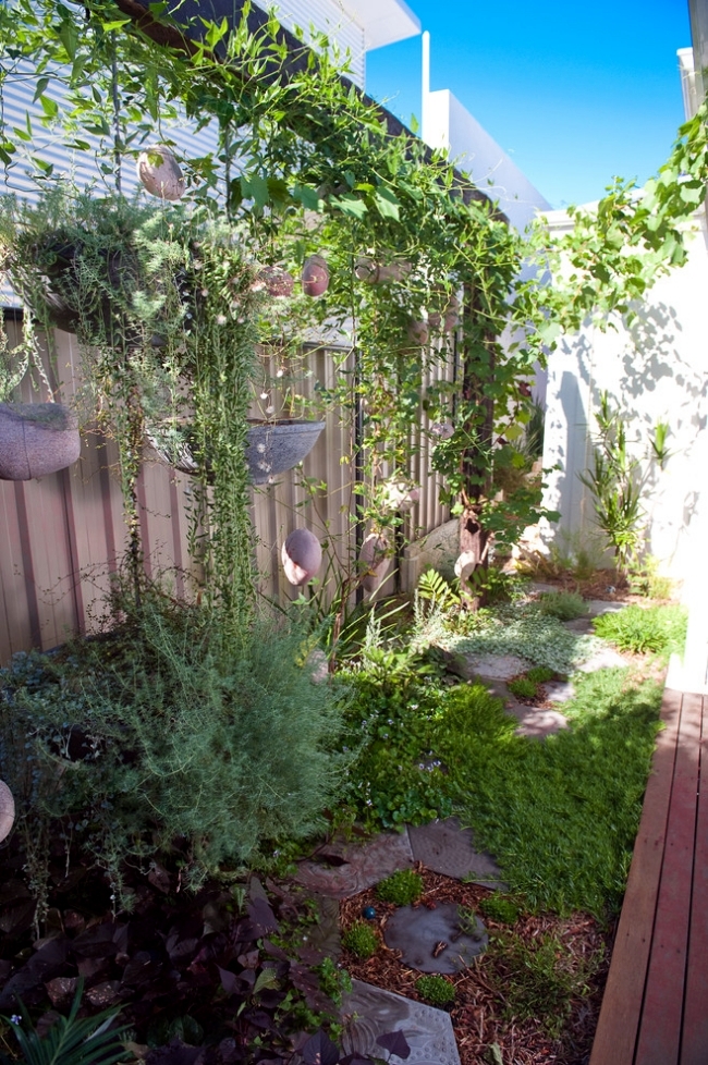 Vertical gardens provide a delightful retreat in the backyard