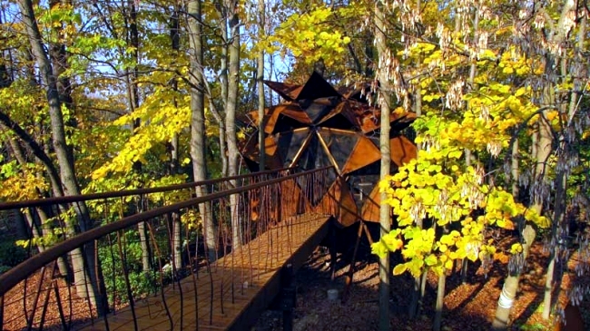 Wood tree house build - places of relaxation of O2 Treehouse